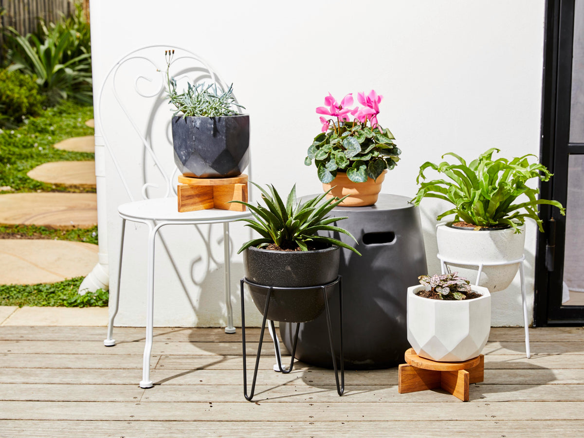 Plant Pots