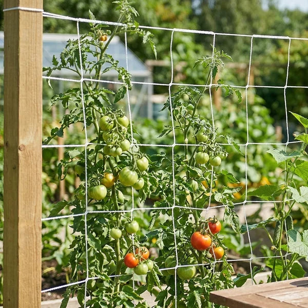 Stakes & Trellises