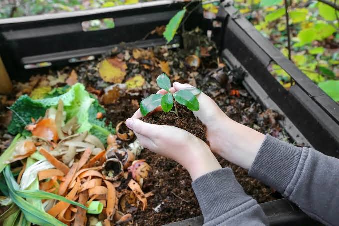 Soil, Composting & Plant Care