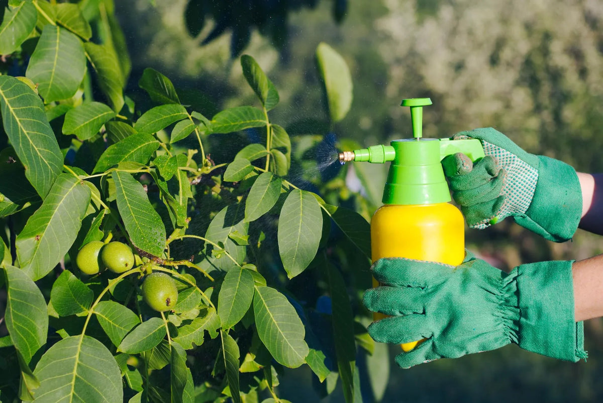 Pest & Weed Control