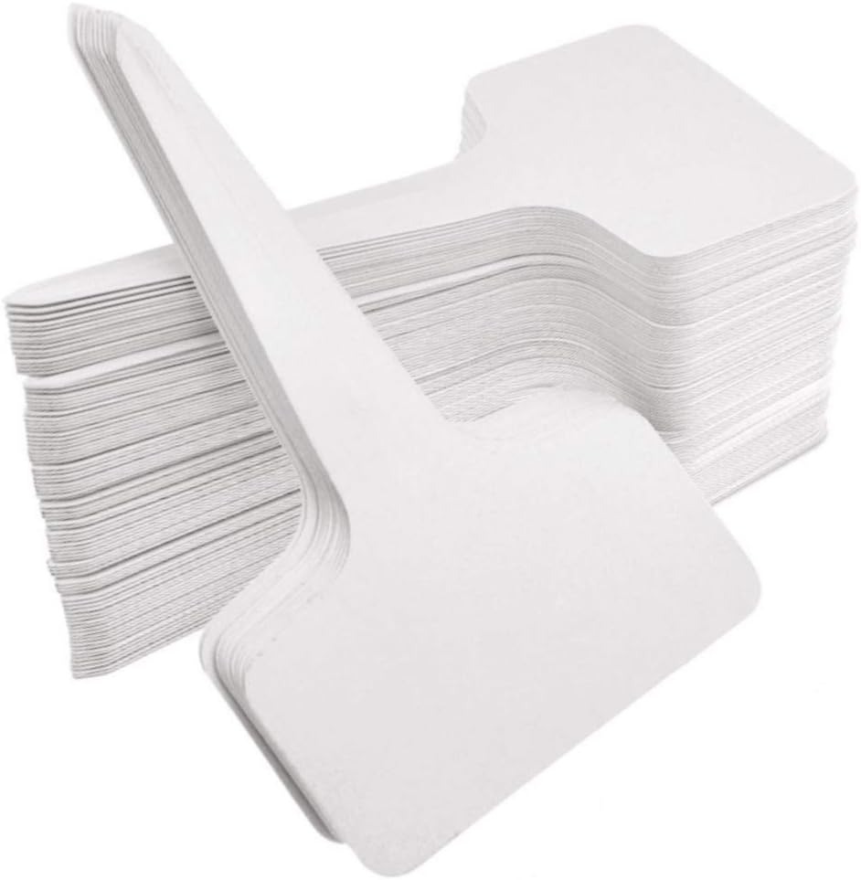 Plastic T-Type Plant Labels, 100 Pack, 10 x 6 cm