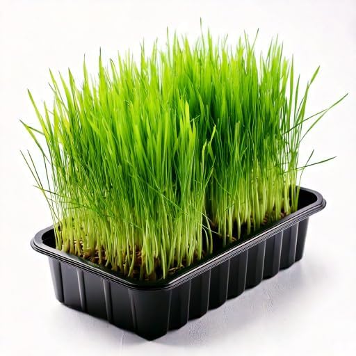 D.T. Brown Pet Grass Seed Raiser Kit