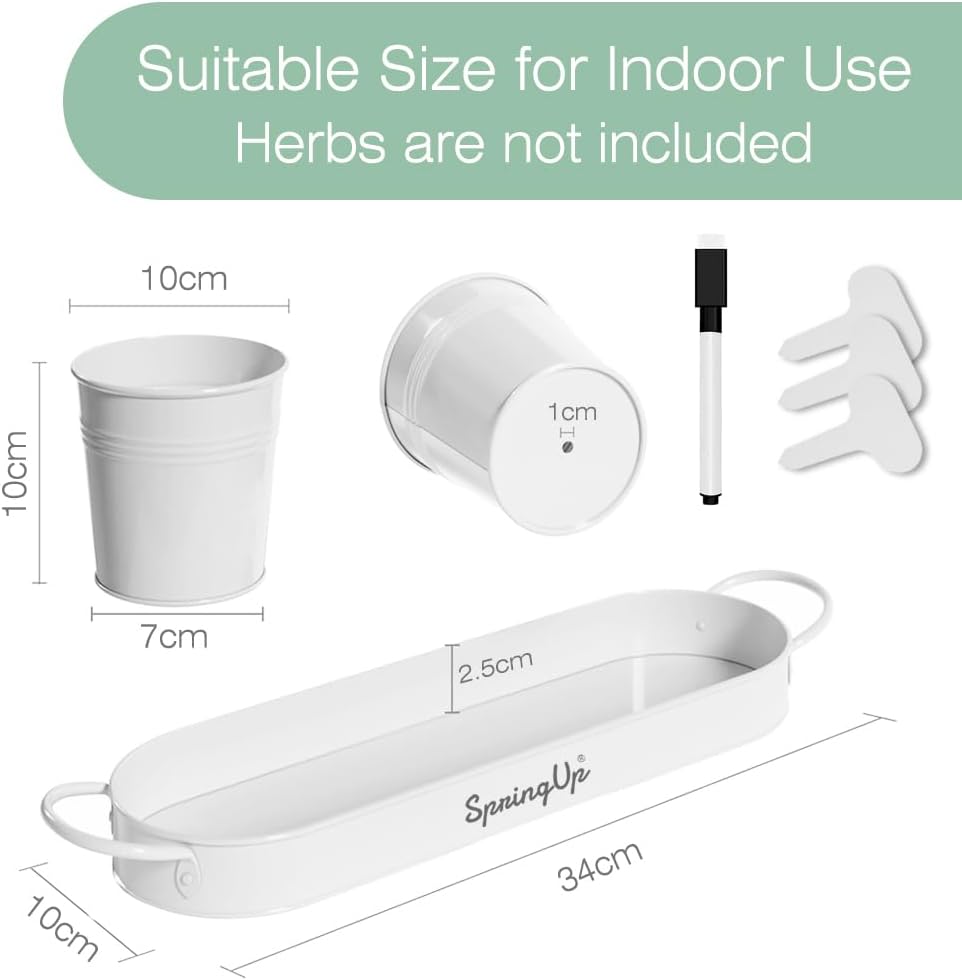 Indoor Herb Garden Planter Set, 3 Pack