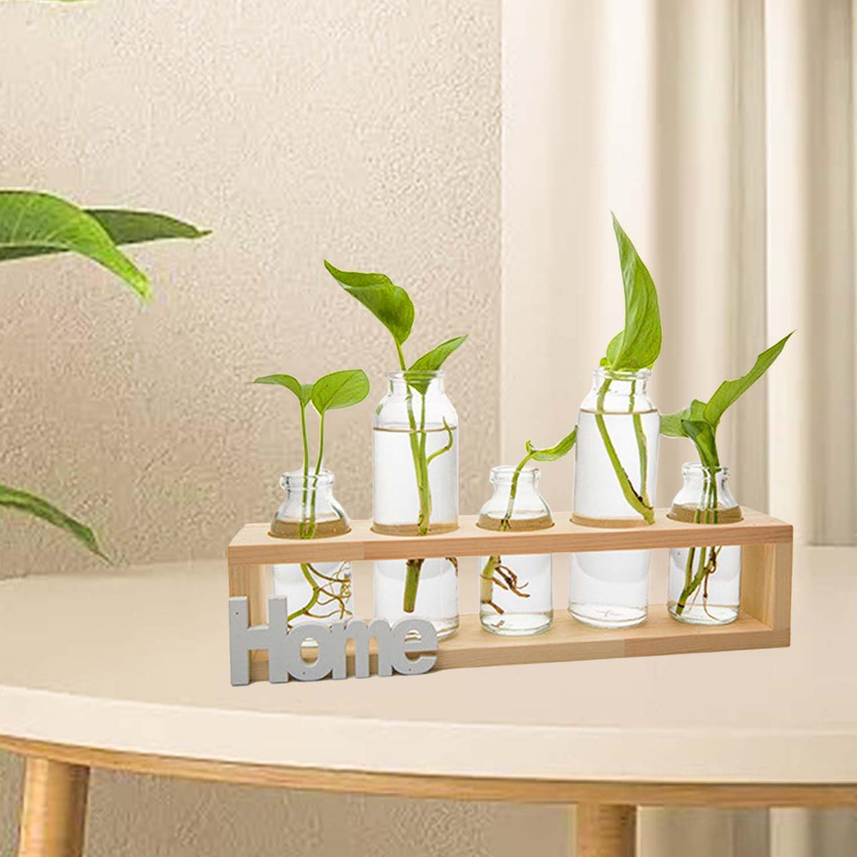 Desktop Propagation Station