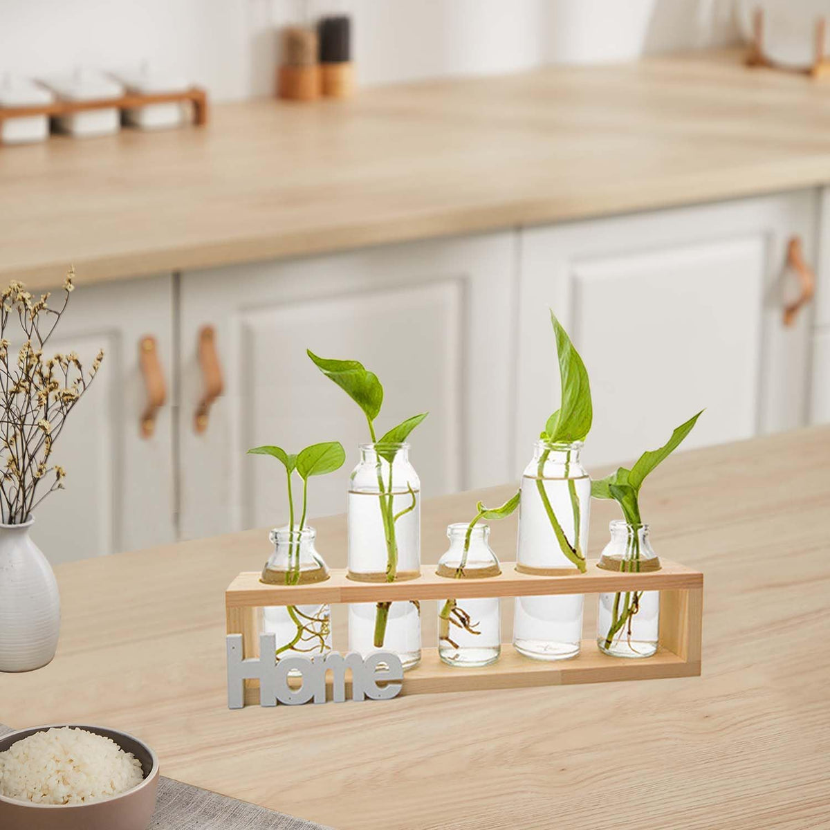 Desktop Propagation Station