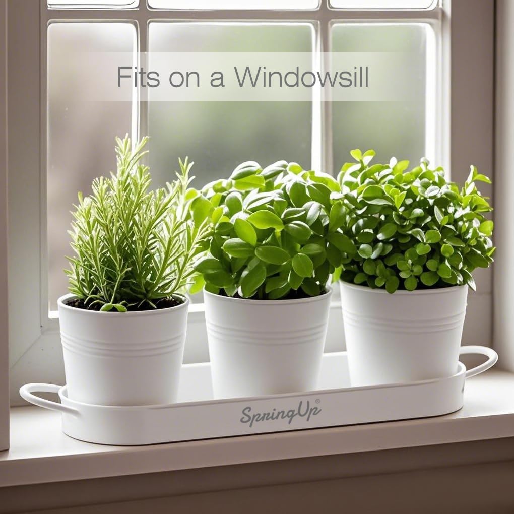 Indoor Herb Garden Planter Set, 3 Pack