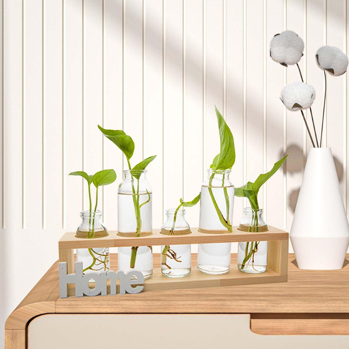 Desktop Propagation Station