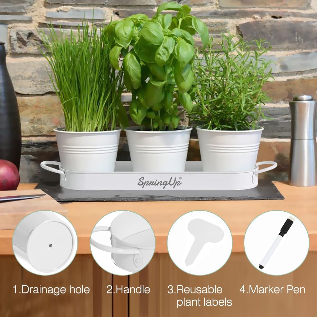 Indoor Herb Garden Planter Set, 3 Pack