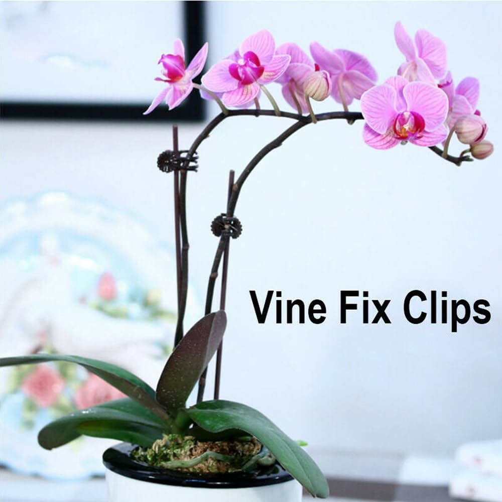 Orchid Plant Support Clips, 2 cm, 100 Pack