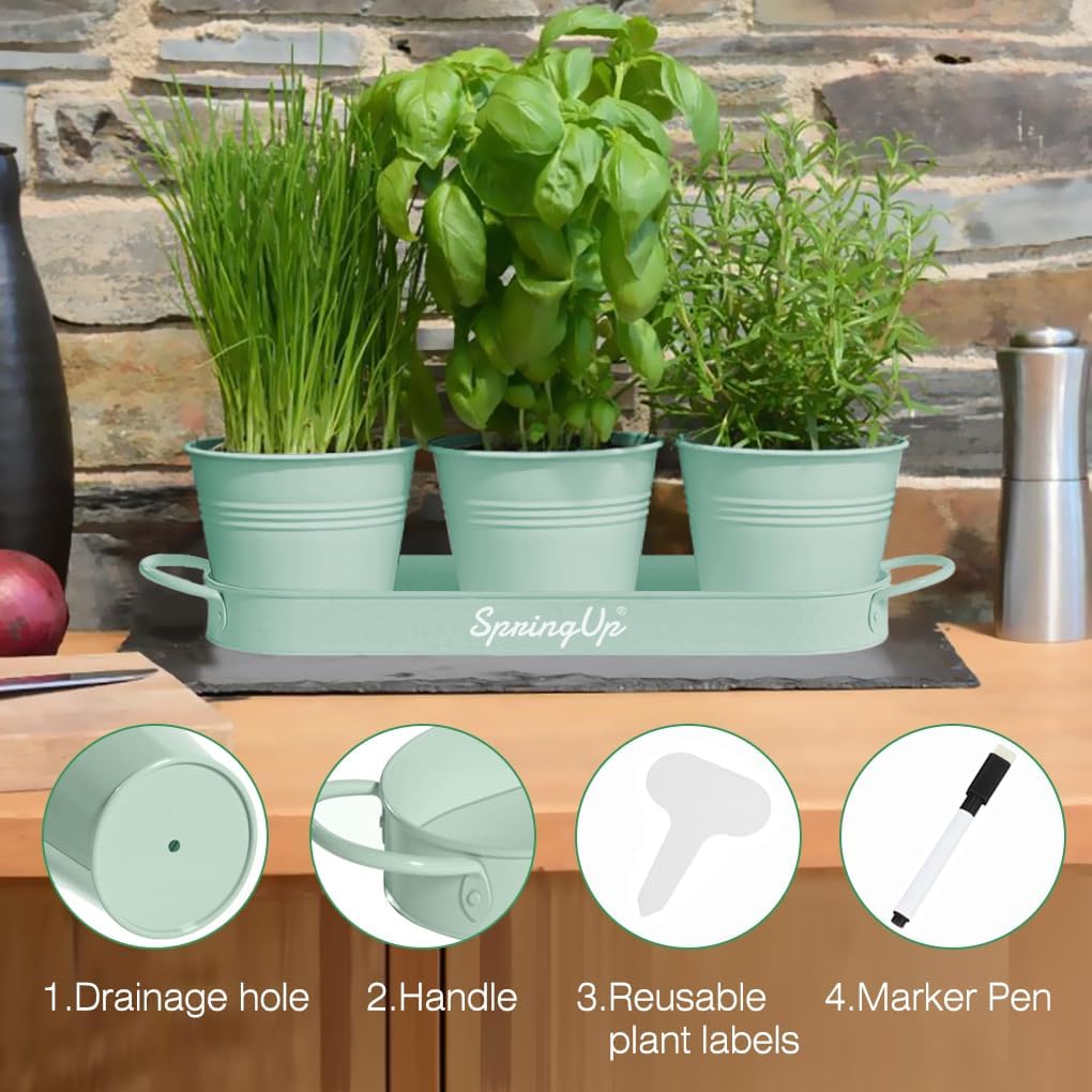 Indoor Herb Garden Planter Set, 3 Pack
