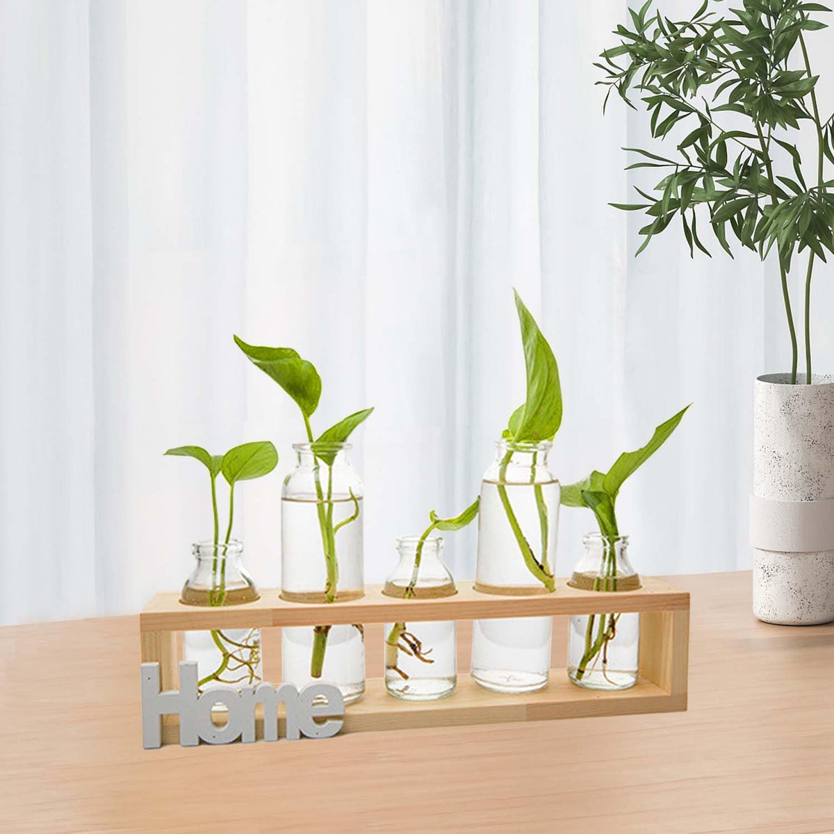 Desktop Propagation Station