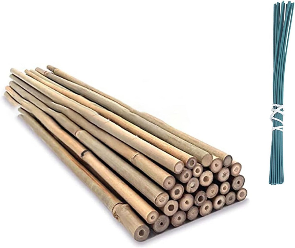 Bamboo Plant Stakes with Twist Ties, 20 Pack, 45 cm