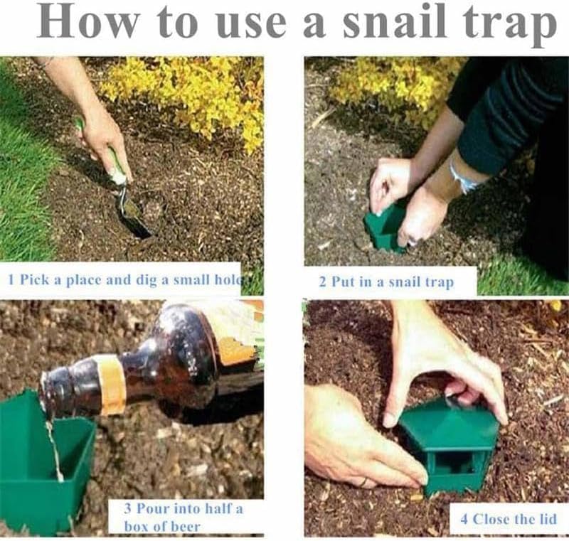 Reusable Beer Slug Traps, 8 Pack
