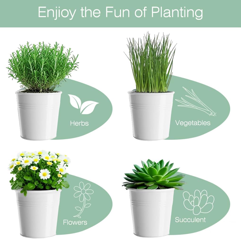 Indoor Herb Garden Planter Set, 3 Pack