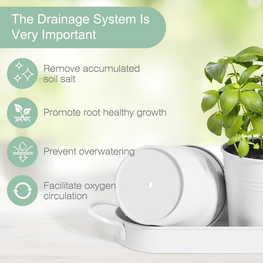 Indoor Herb Garden Planter Set, 3 Pack