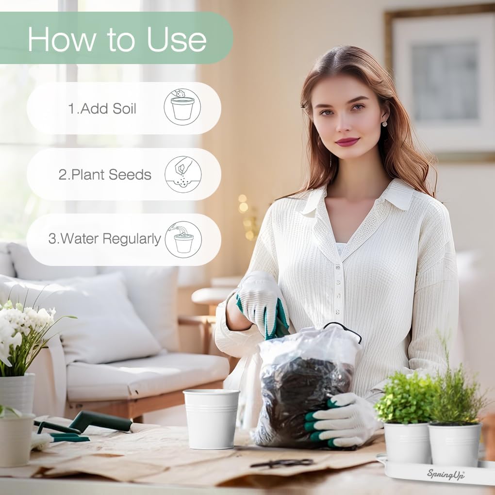 Indoor Herb Garden Planter Set, 3 Pack