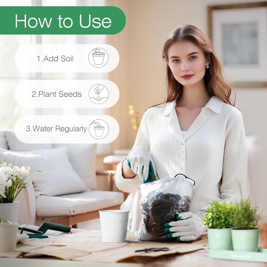 Indoor Herb Garden Planter Set, 3 Pack