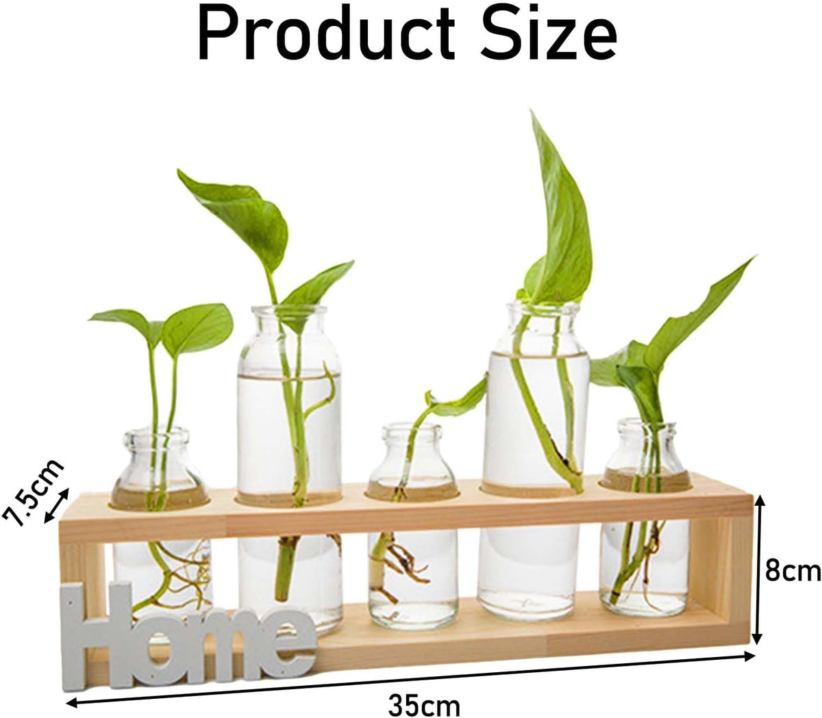 Desktop Propagation Station