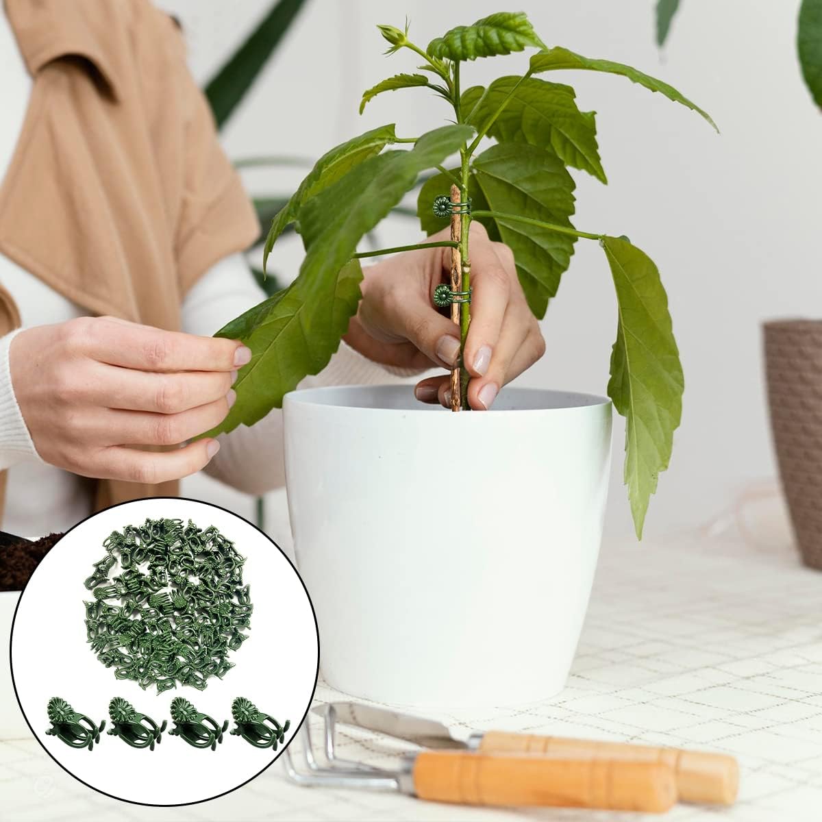 Green Orchid Support Clips, 100 Pack