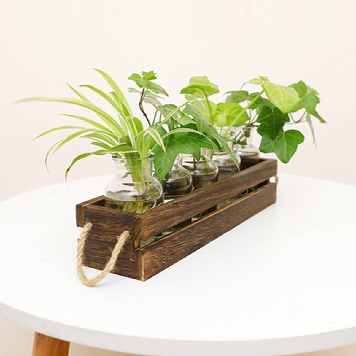 Desktop Propagation Station