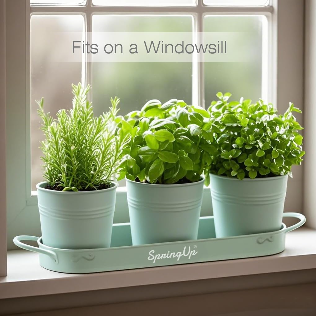 Indoor Herb Garden Planter Set, 3 Pack