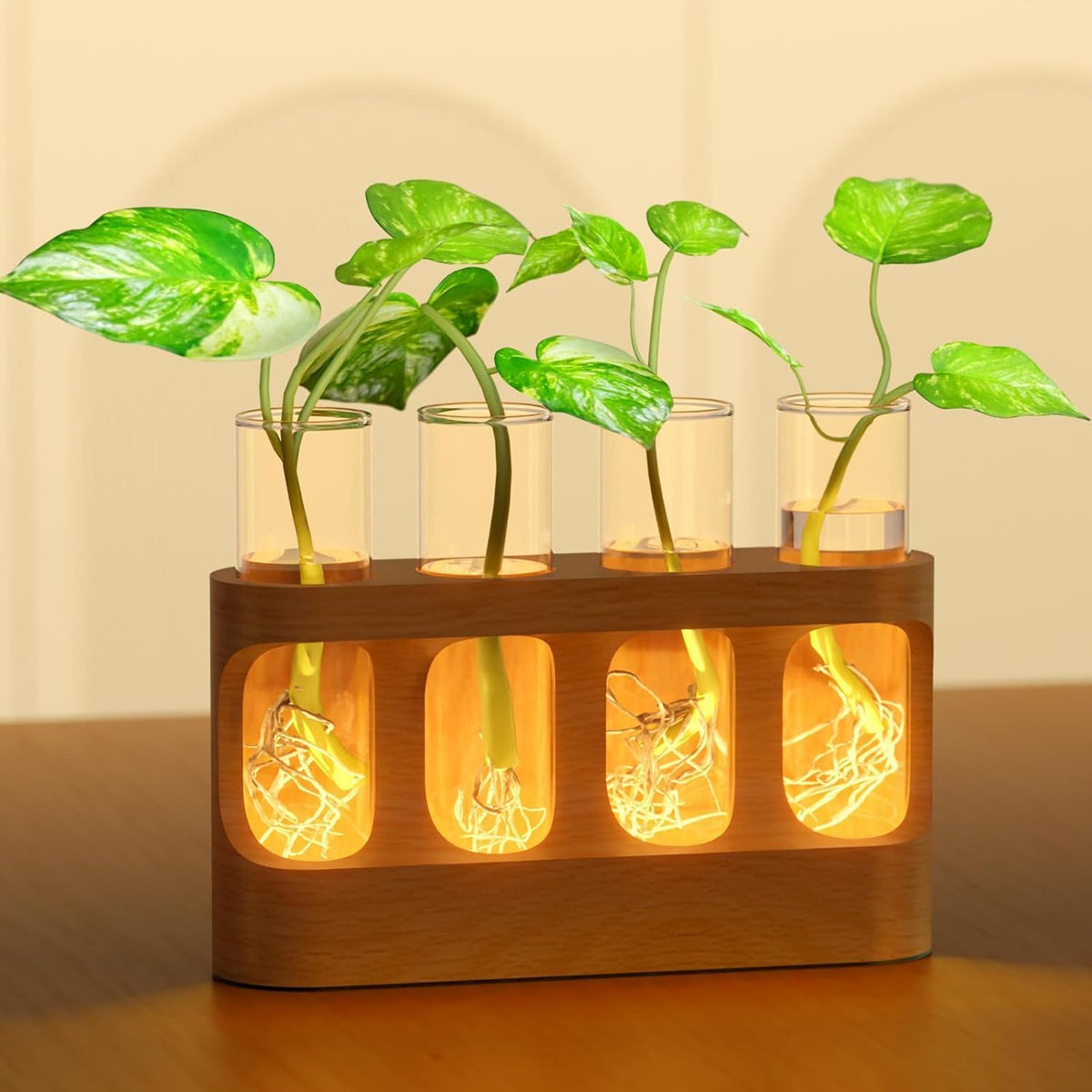 LED Plant Propagation Station, 4 Vases