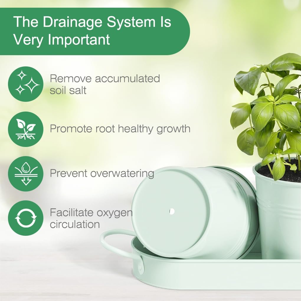 Indoor Herb Garden Planter Set, 3 Pack