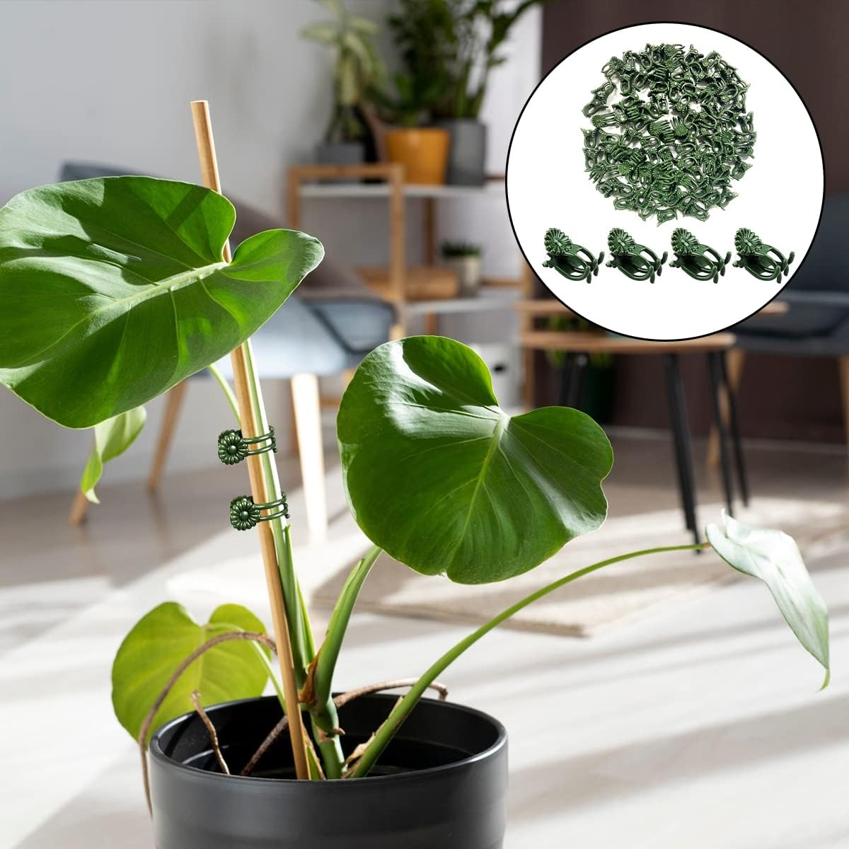 Green Orchid Support Clips, 100 Pack