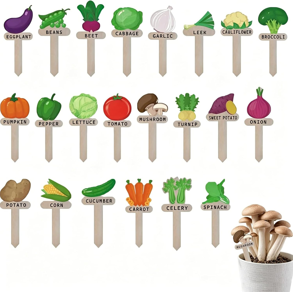Wooden Garden Plant Labels, 22 Pack
