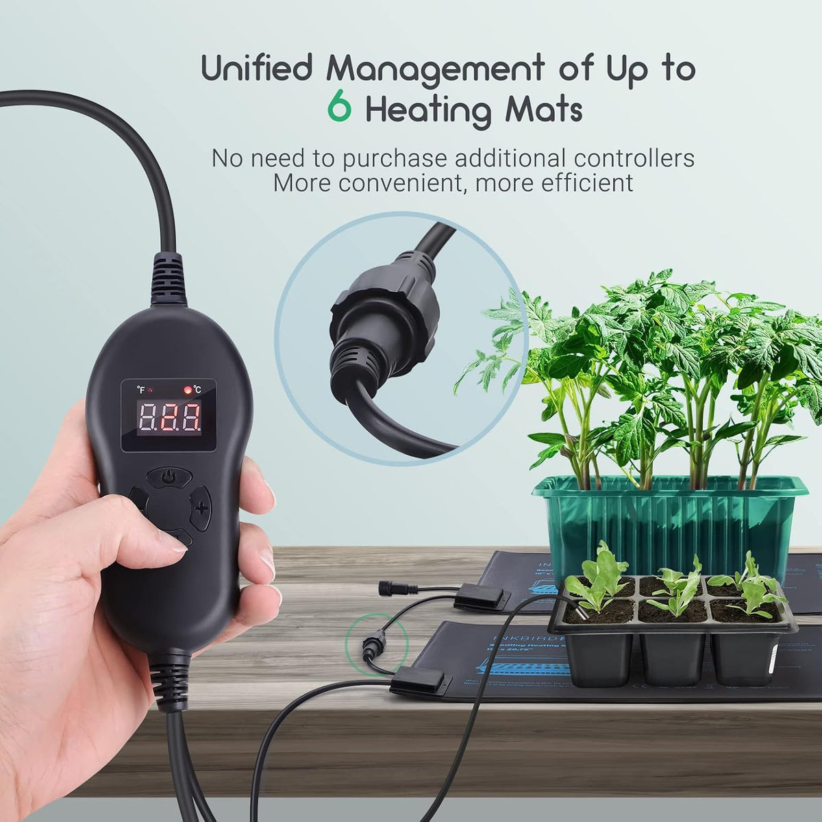 INKBIRDPLUS Seedling Heat Mat with Thermostat
