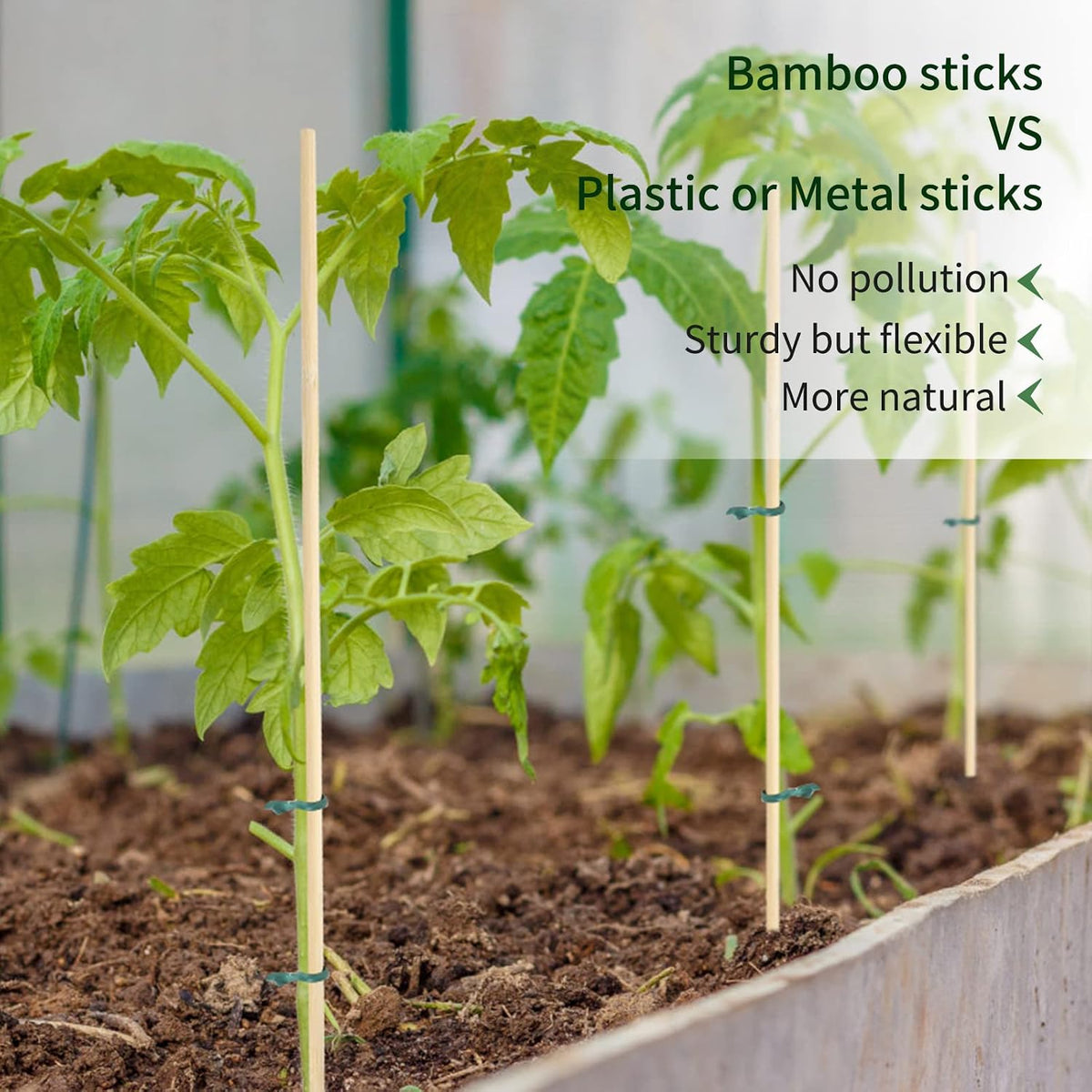 Bamboo Plant Stakes, 50 Pack, 15.8 in