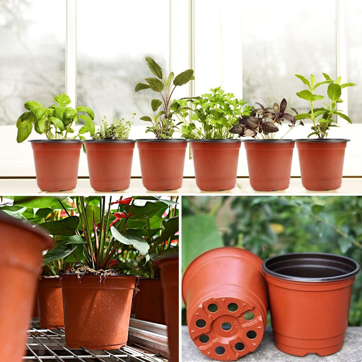 Plastic Nursery Pots, 100 Pack, 4 in