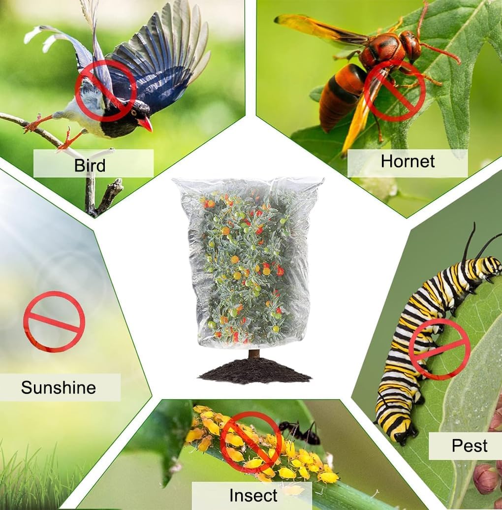 Fruit Fly Netting, 4 Pack, 1.5 x 1.6 m