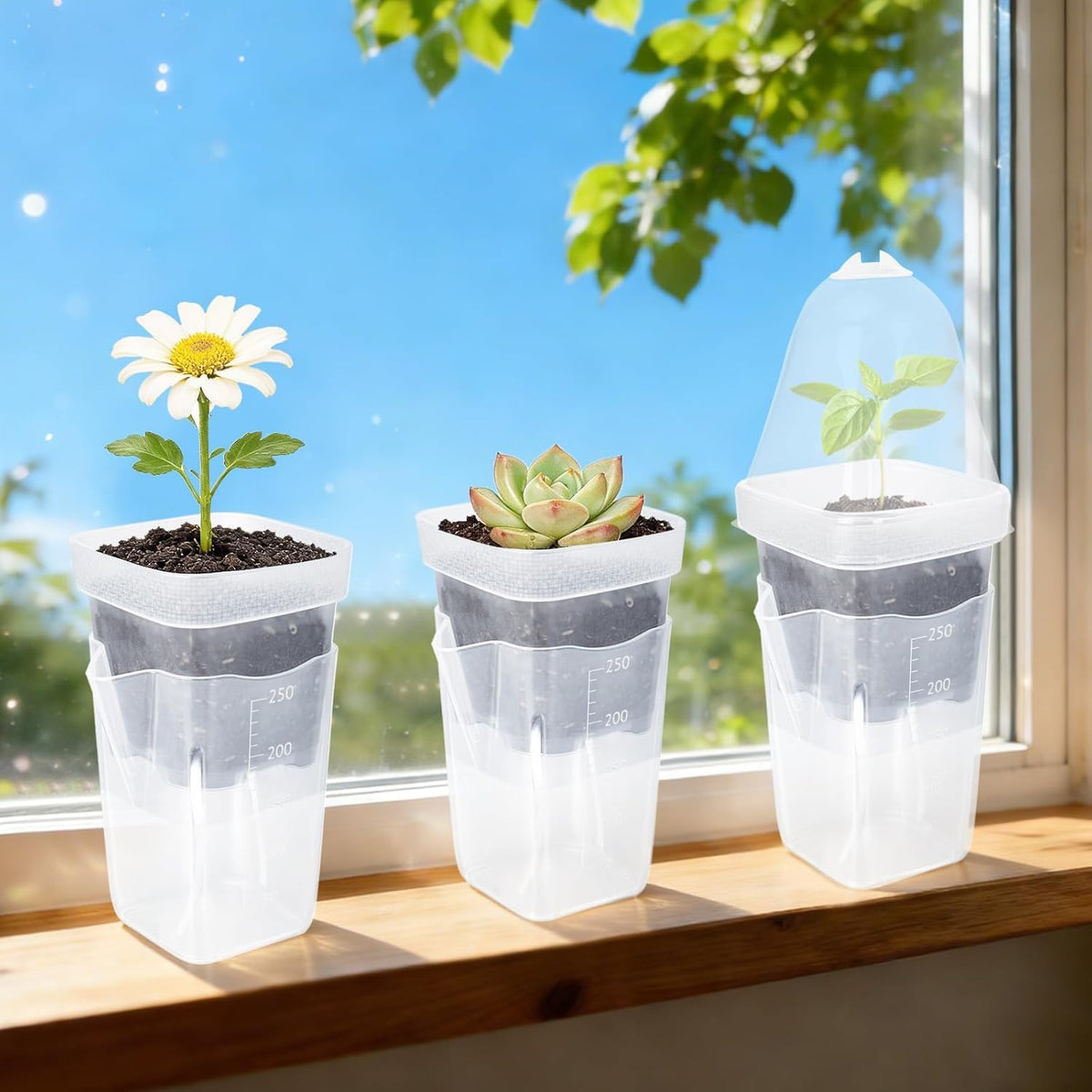 Self-Watering Propagation Pots, 12 Pack, 2.5 in