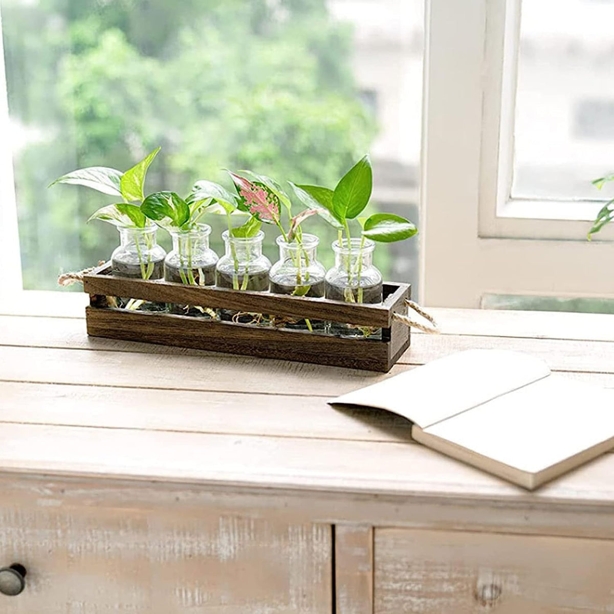 Desktop Propagation Station