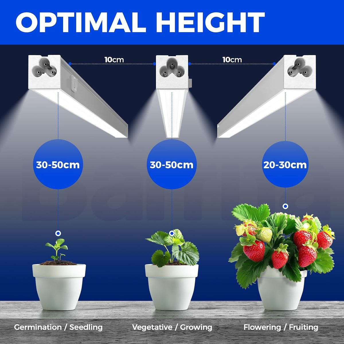 Barrina T5 Grow Lights, 1 ft, 6 Pack