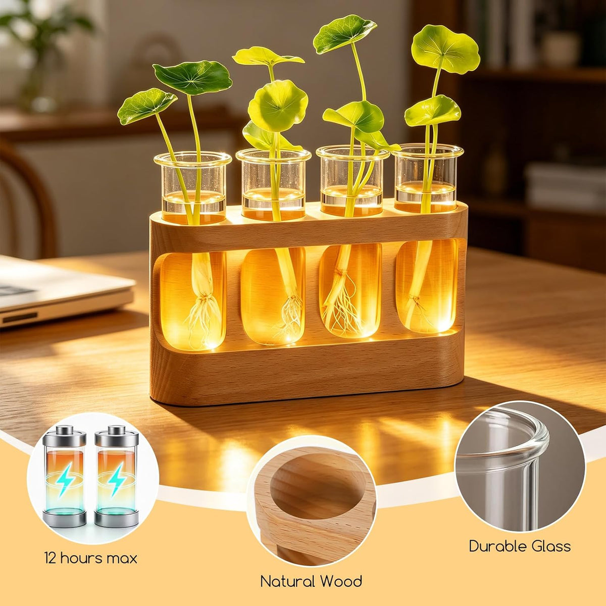 Desktop Propagation Station