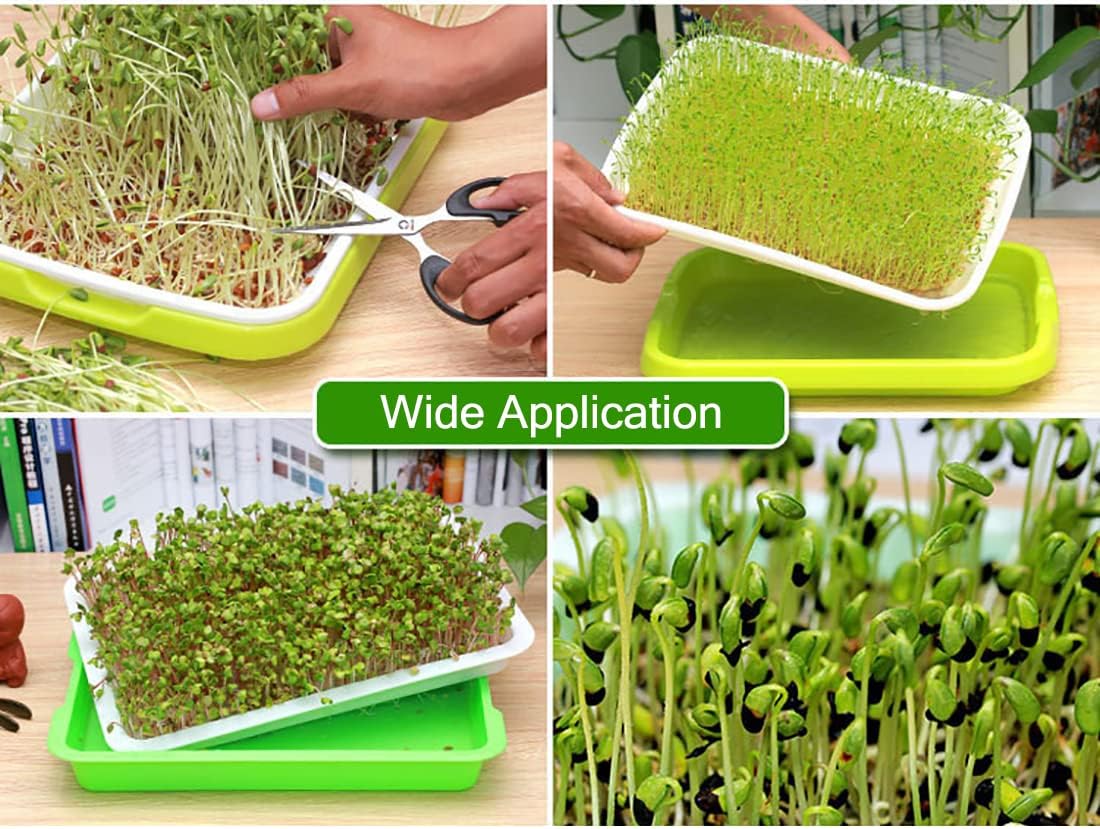 SHEING Seed Sprouter Trays, 5 Pack