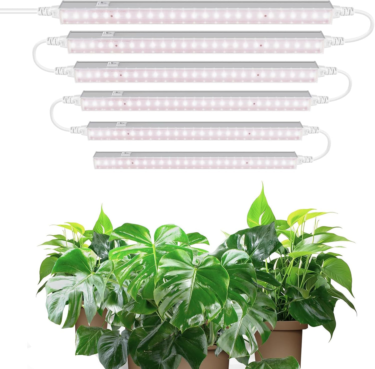 Barrina T5 Grow Lights, 1 ft, 6 Pack