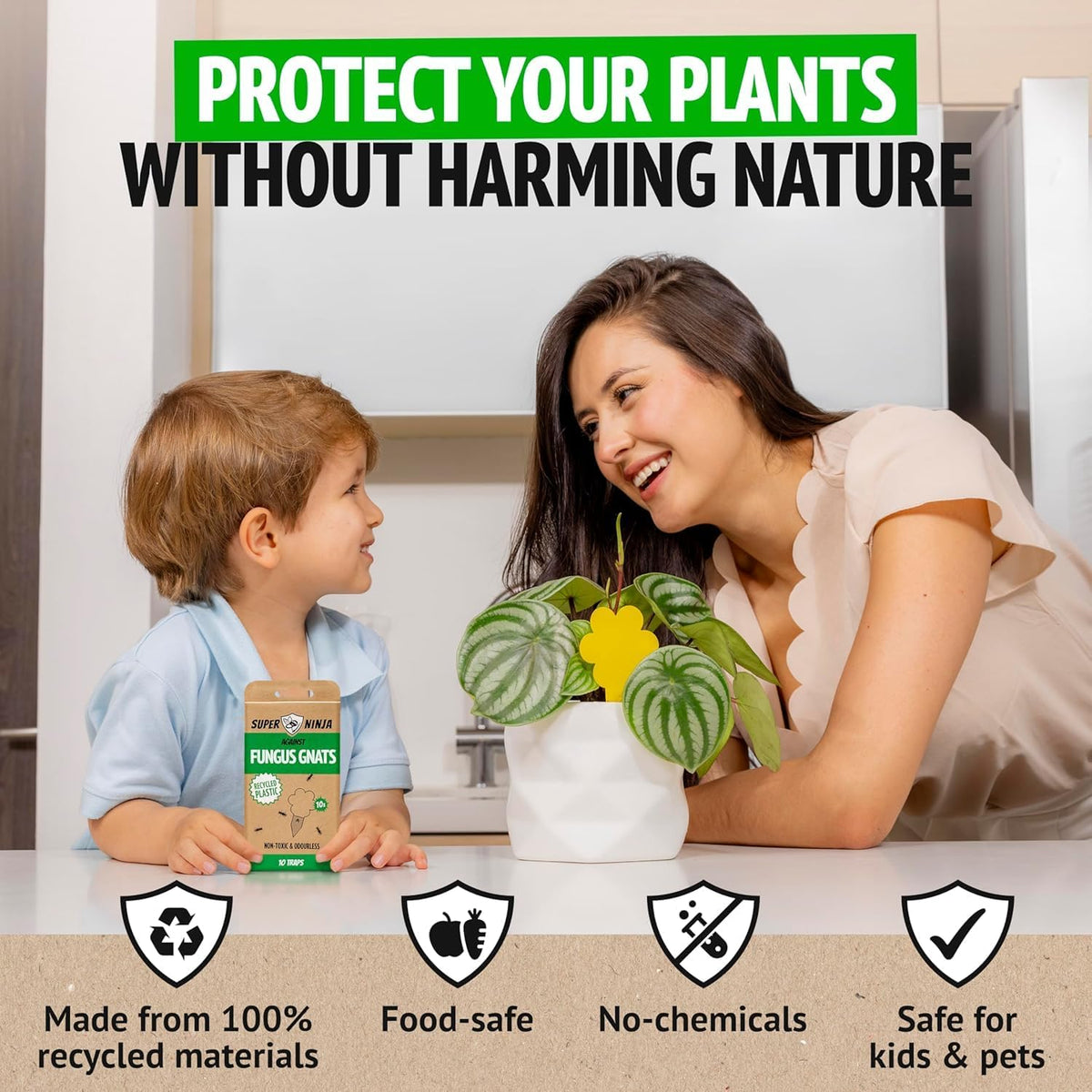 Super Ninja Fungus Gnat Traps, 10 Pack