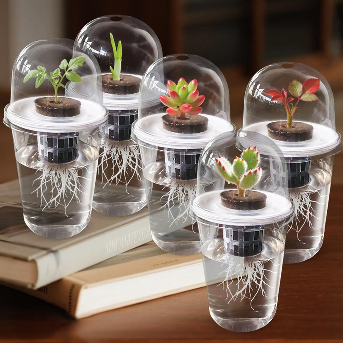 Hydroponic Seedling Pots, 20 Sets