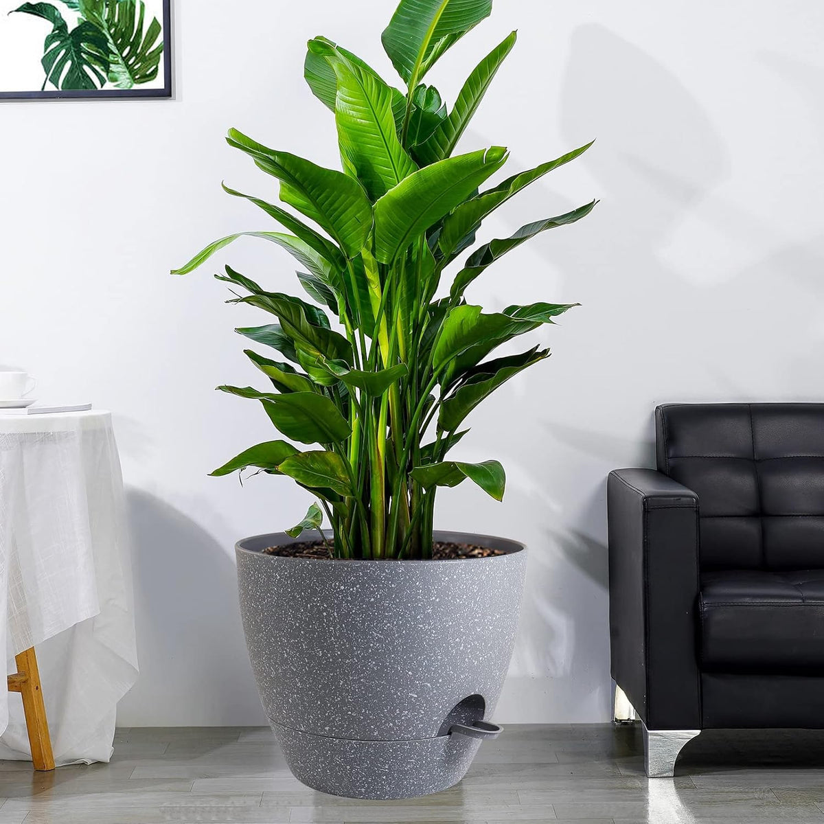 UOUZ Self-Watering Pots, 12 in, Black