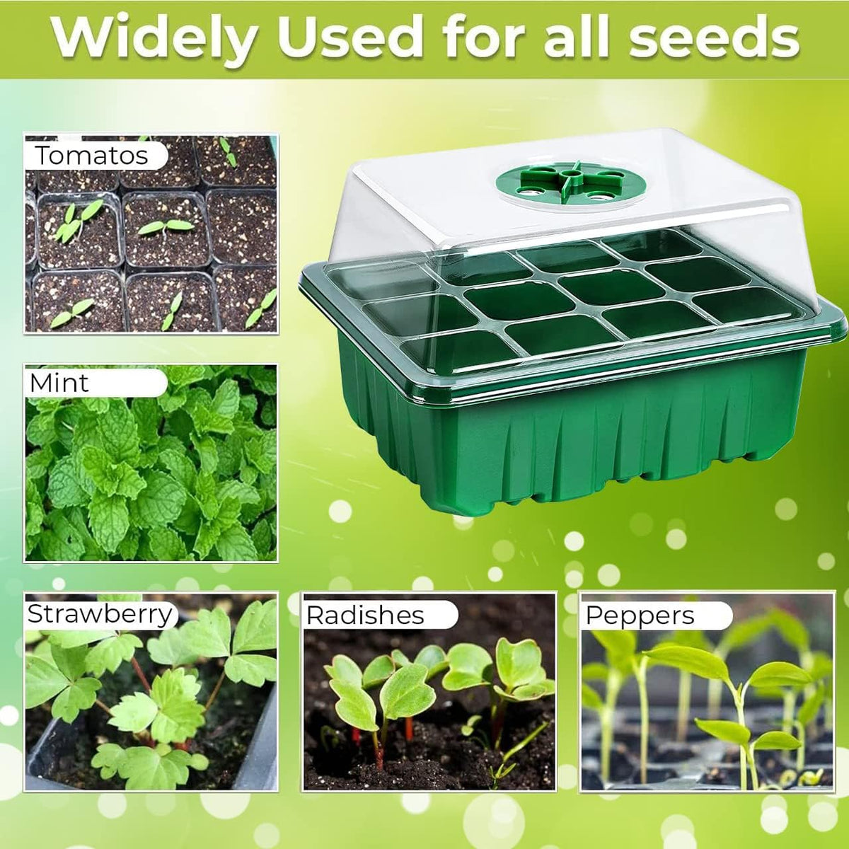 Seed Starter Tray with Heat Mat and Grow Light