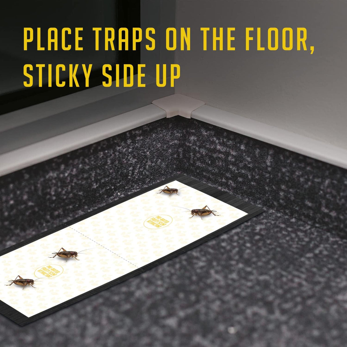 Trap a Pest Cricket Traps, 12 Pack