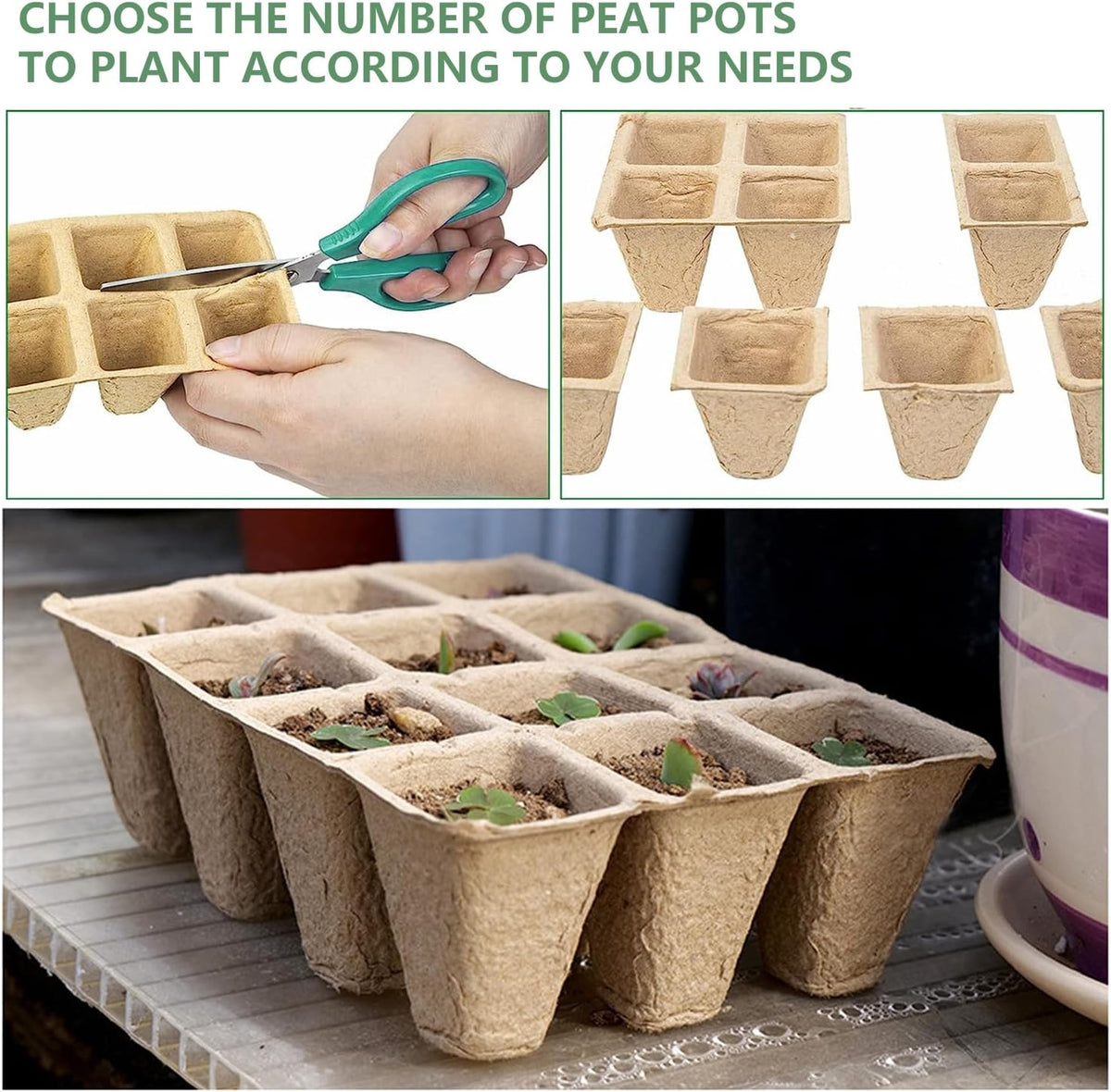 Seed Starter Trays, 20 Pack, 240 Cells
