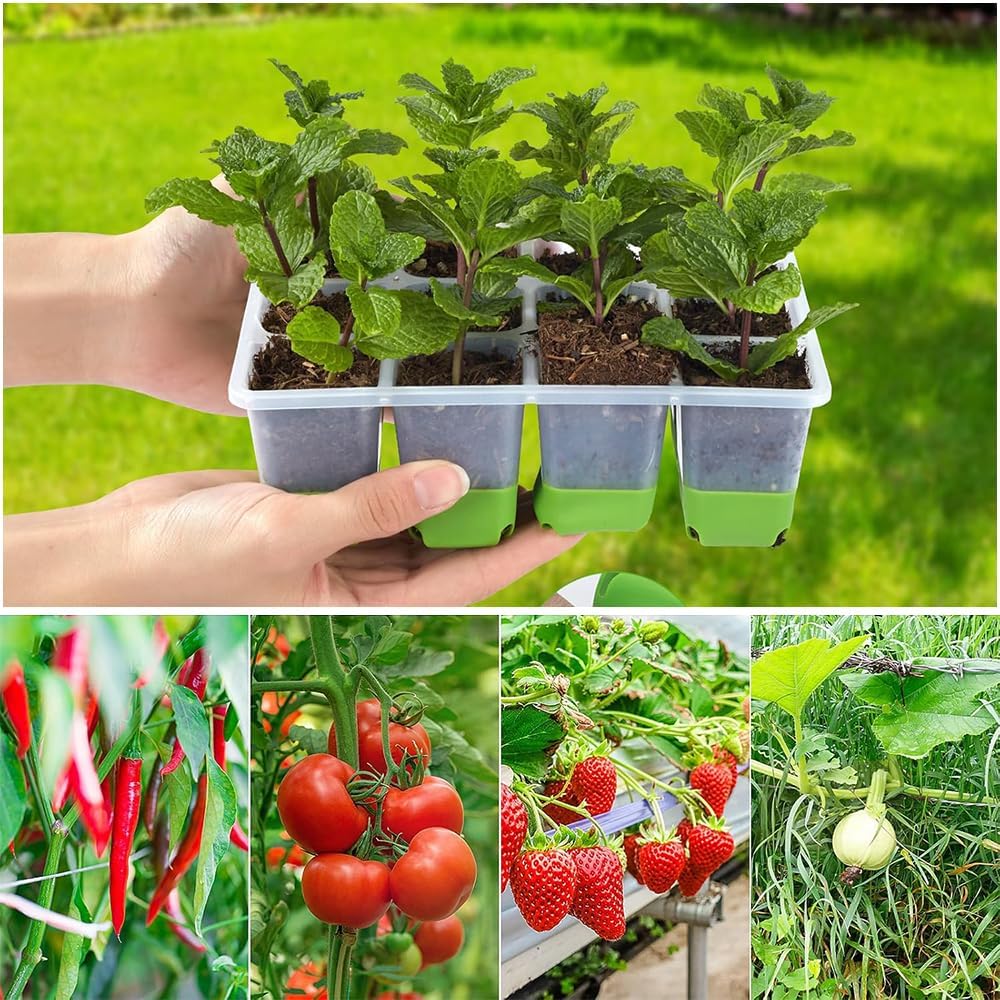 Silicone Seedling Starter Trays, 5 Pack, 12 Cells