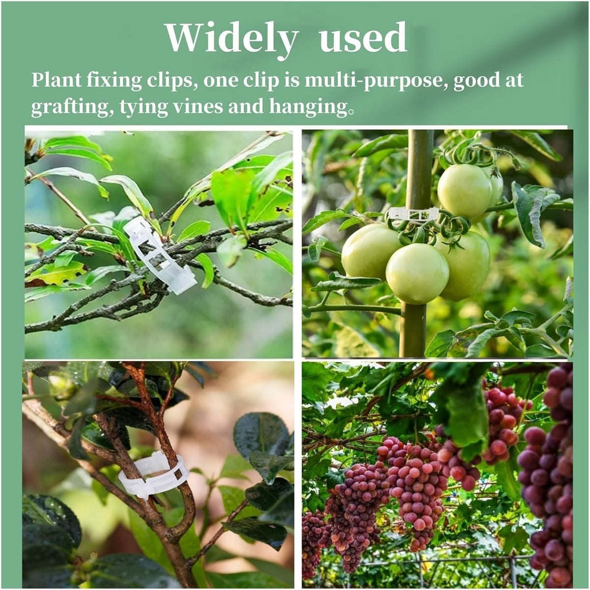 Reusable Plant Support Clips