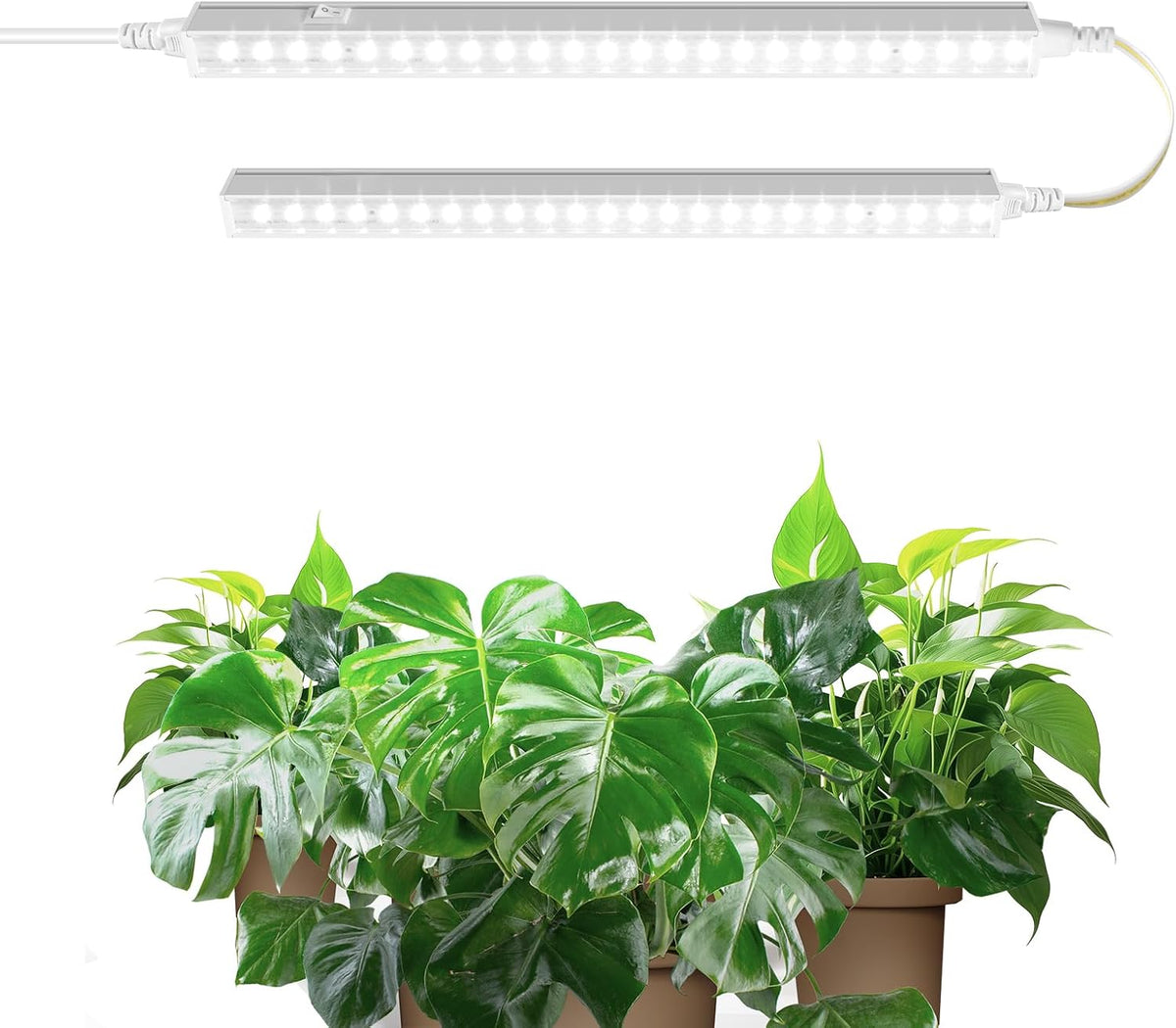 Barrina T5 Grow Lights, 1 ft, 6 Pack