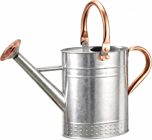 Bamworld Iron Watering Can, 1 Gallon, Green