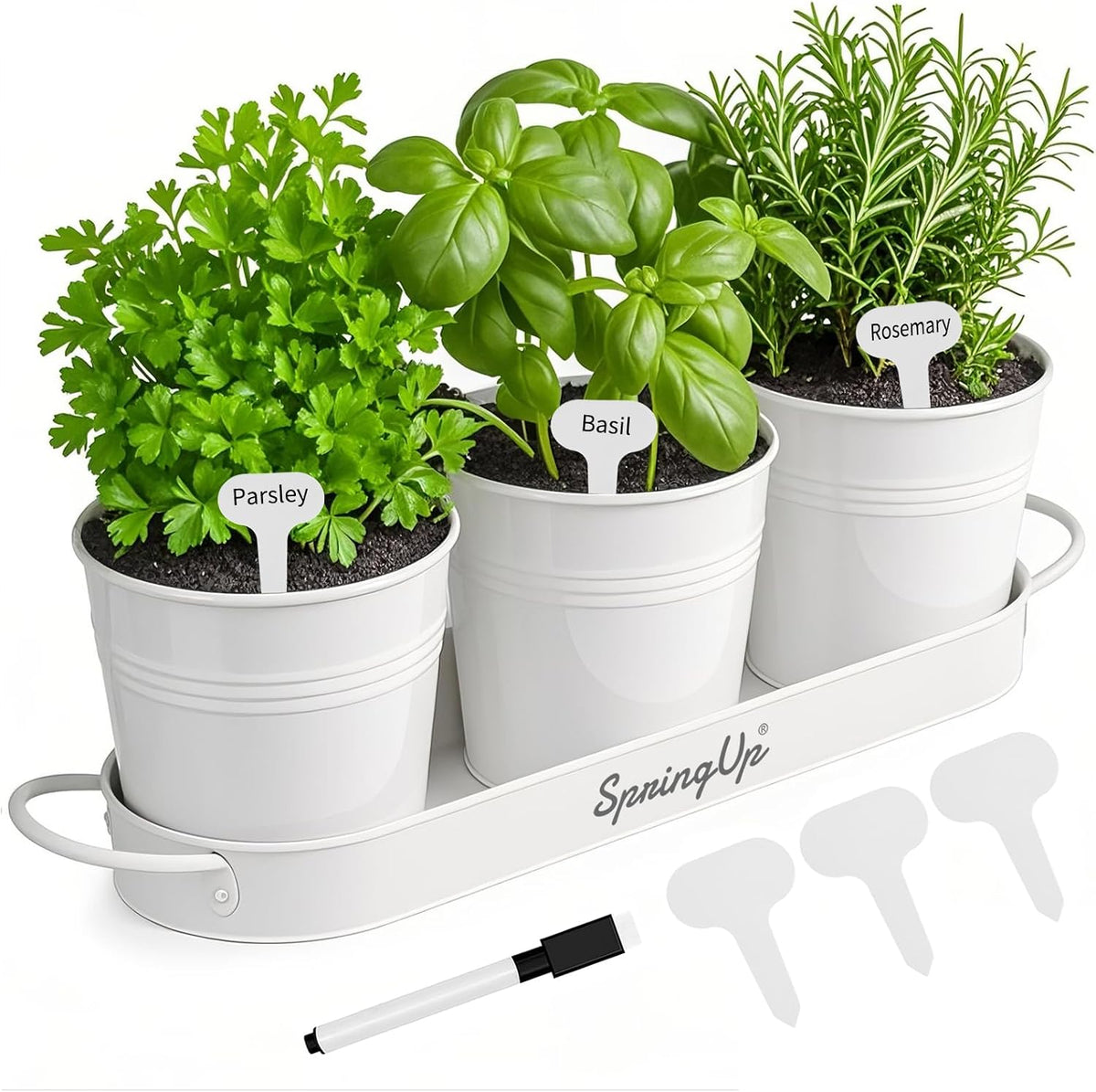Indoor Herb Garden Planter Set, 3 Pack